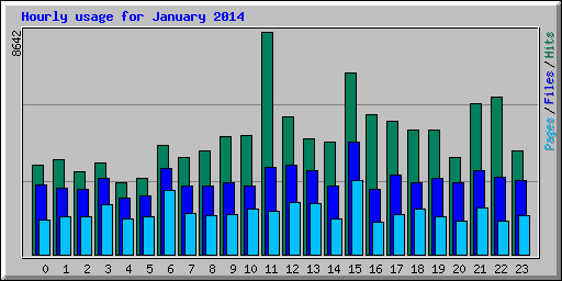 Hourly usage for January 2014